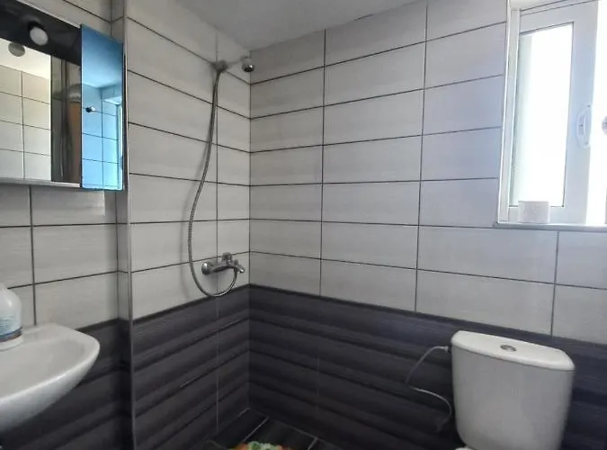 公寓 Arjana&nelaj *